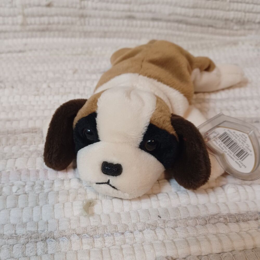 1996 Bernie Beanie Babies Collection, With Red Swing Tag in Plastic